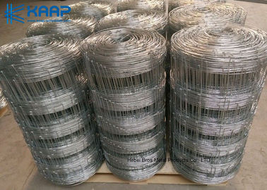 軽量のステンレス鋼のガーゼの網は、編まれたワイヤー容易にきれいにされた経済的にパネルをはめます